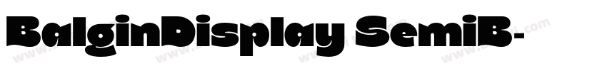 BalginDisplay SemiB字体转换 BalginDisplay SemiB字体转换